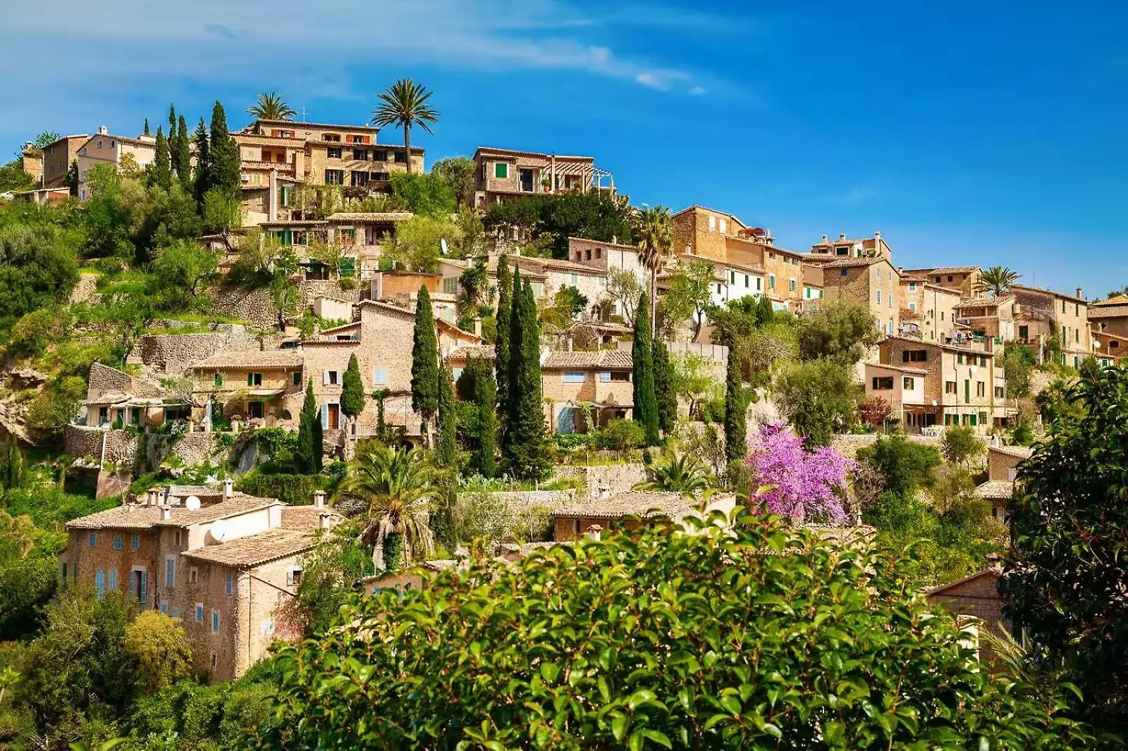 Bellviure Luxury Villa Mallorca Marratxí Hiszpania